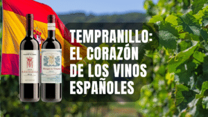 Lee más sobre el artículo Tempranillo: el corazón de los vinos españoles