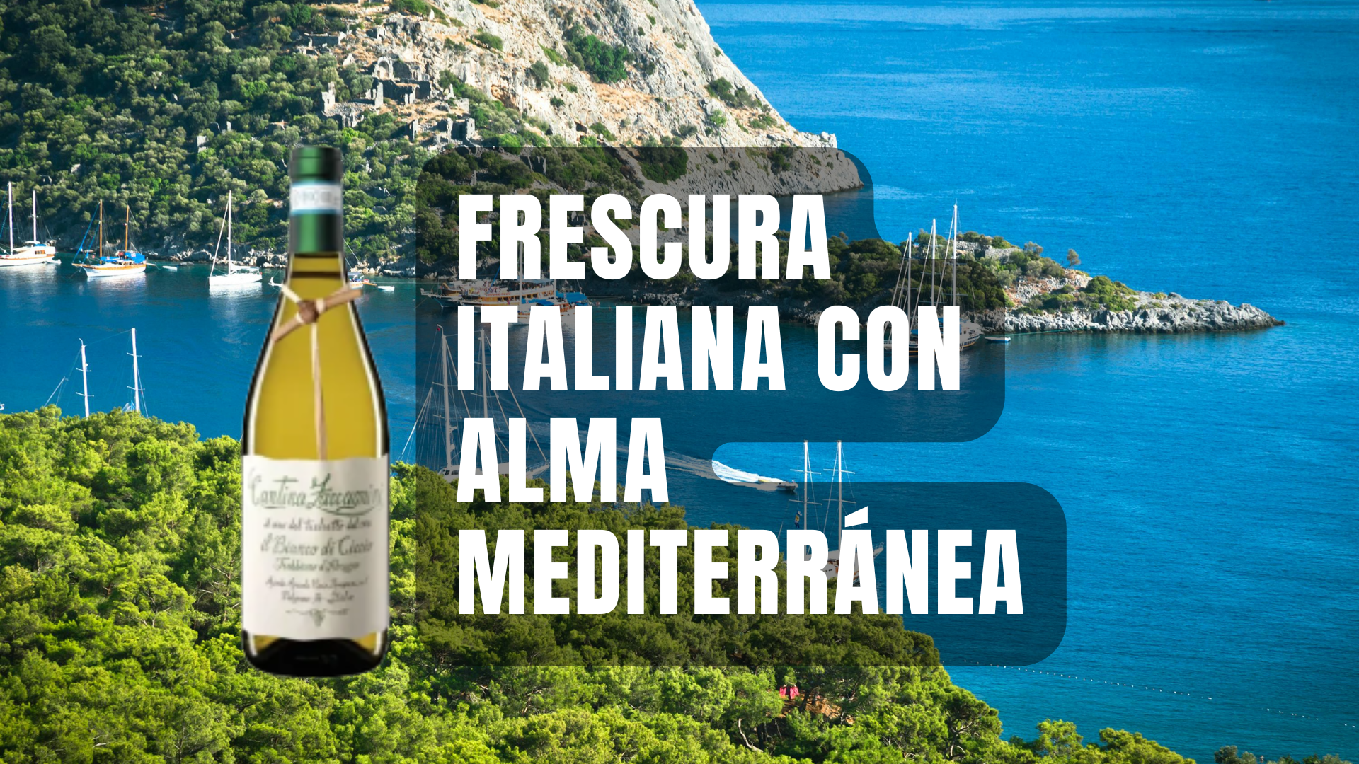 Lee más sobre el artículo Cantina Zaccagnini Trebbiano d’Abruzzo – Chardonnay: frescura italiana con alma mediterránea